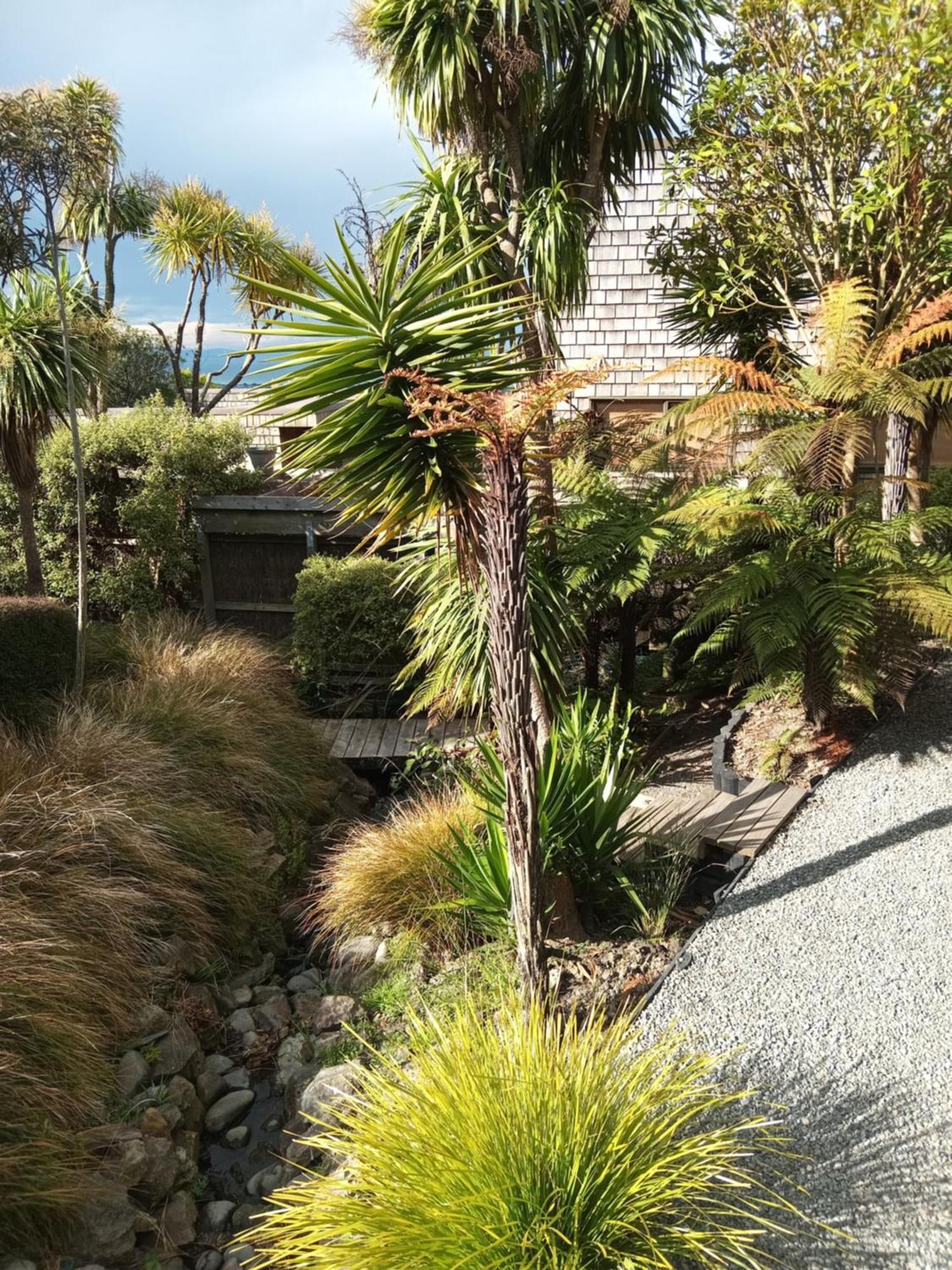 Mount Pleasant Views Christchurch Exterior foto